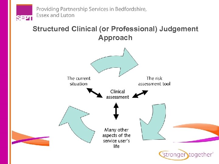 Structured Clinical (or Professional) Judgement Approach 