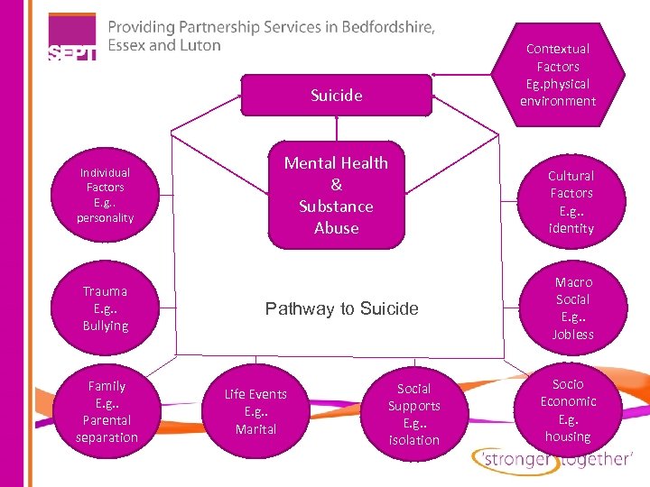 Contextual Factors Eg. physical environment Suicide Individual Factors E. g. . personality Trauma E.