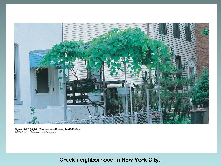 Greek neighborhood in New York City. 