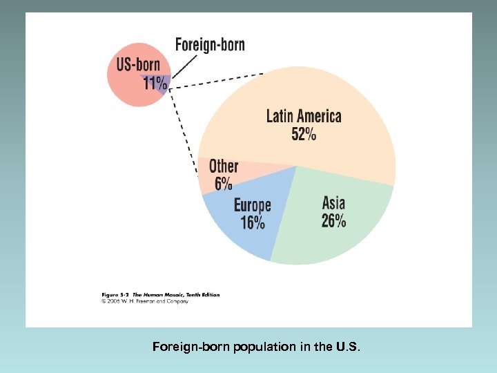 Foreign-born population in the U. S. 