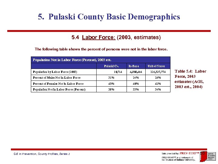 5. Pulaski County Basic Demographics 5. 4 Labor Force: (2003, estimates) The following table
