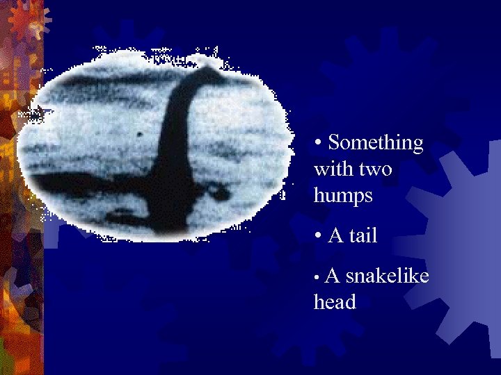  • Something with two humps • A tail • A snakelike head 