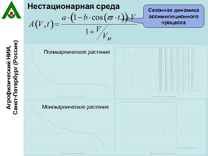 Агрофизический НИИ, Санкт-Петербург (Россия) Нестационарная среда Поликарпическое растение Монокарпическое растение Сезонная динамика ассимиляционного процесса