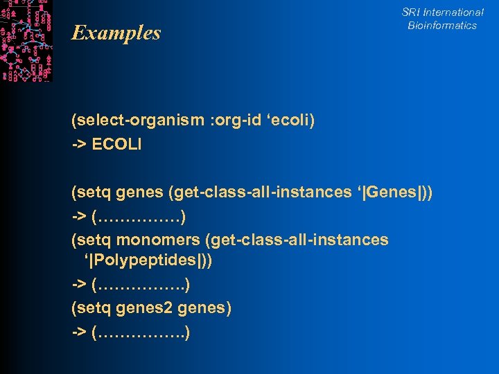 Examples SRI International Bioinformatics (select-organism : org-id ‘ecoli) -> ECOLI (setq genes (get-class-all-instances ‘|Genes|))