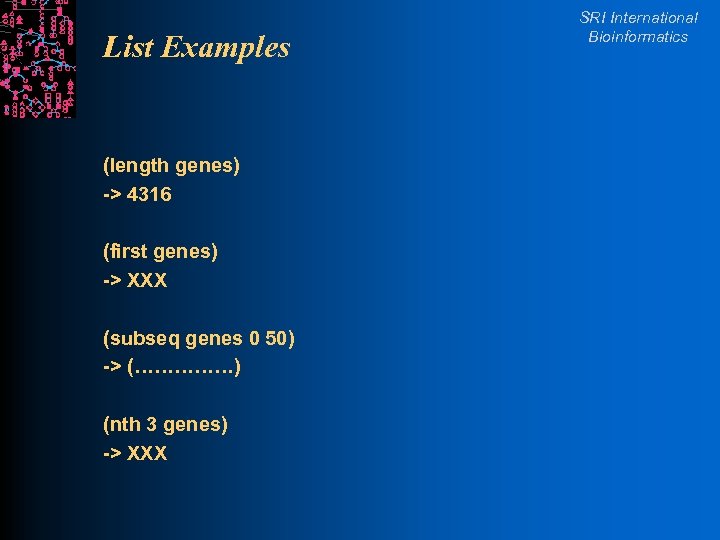 List Examples (length genes) -> 4316 (first genes) -> XXX (subseq genes 0 50)