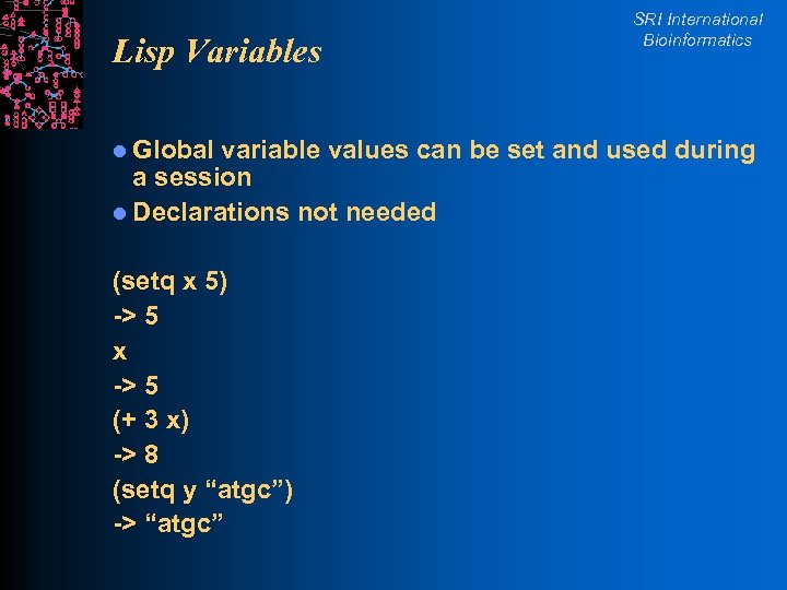 Lisp Variables l Global SRI International Bioinformatics variable values can be set and used