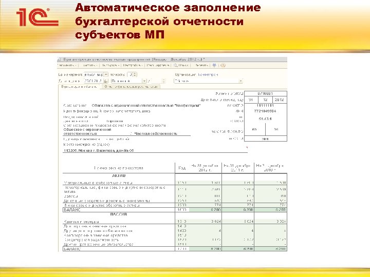 Автоматическое заполнение бухгалтерской отчетности субъектов МП 
