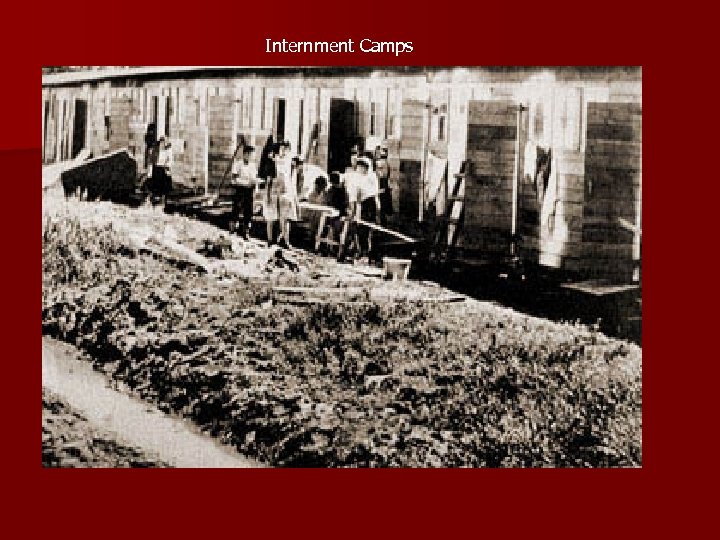Internment Camps 