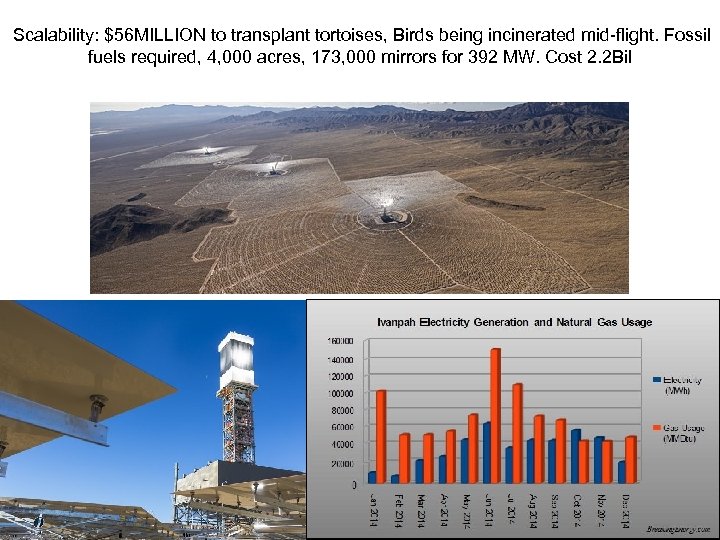  Scalability: $56 MILLION to transplant tortoises, Birds being incinerated mid-flight. Fossil fuels required,