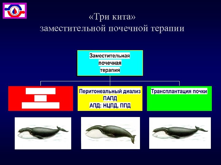  «Три кита» заместительной почечной терапии 