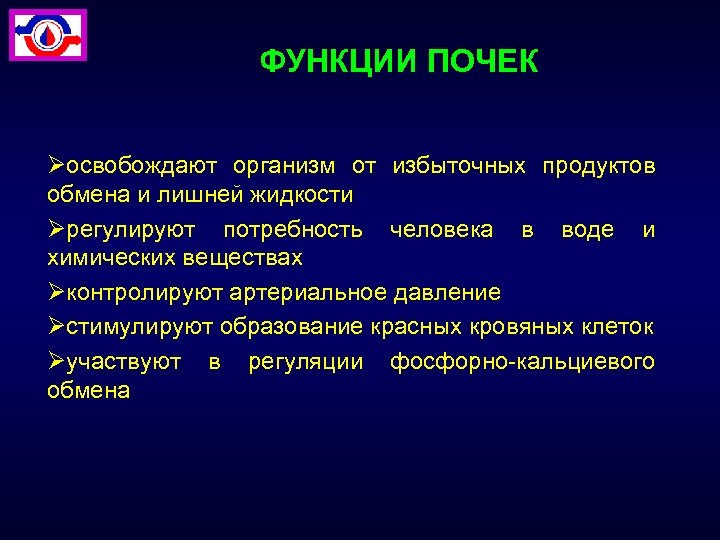 ФУНКЦИИ ПОЧЕК Øосвобождают организм от избыточных продуктов обмена и лишней жидкости Øрегулируют потребность человека