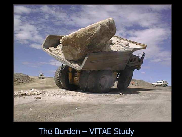 The Burden – VITAE Study 