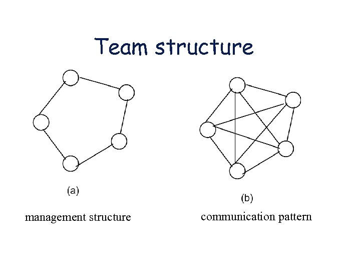 Team structure management structure communication pattern 