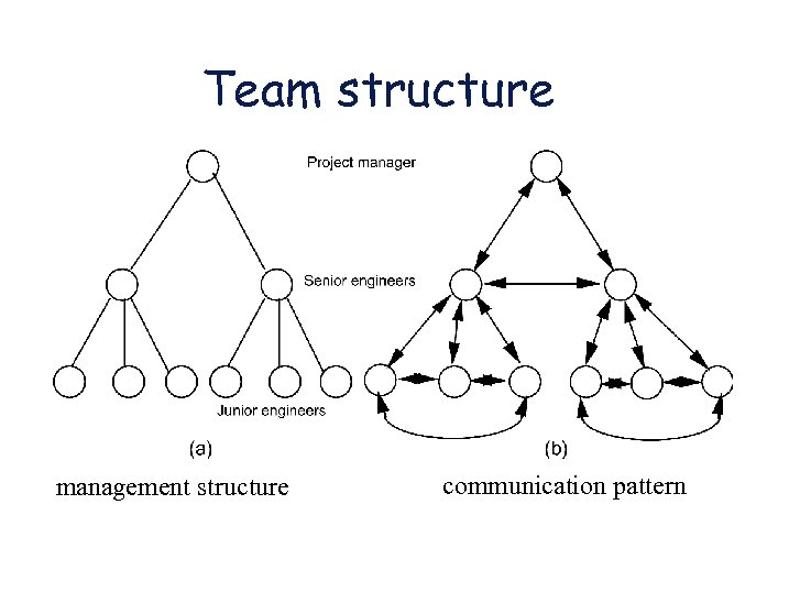 Team structure management structure communication pattern 