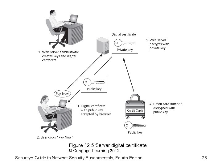 Figure 12 -5 Server digital certificate © Cengage Learning 2012 Security+ Guide to Network