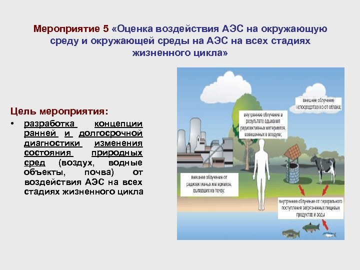 Мероприятие 5 «Оценка воздействия АЭС на окружающую среду и окружающей среды на АЭС на
