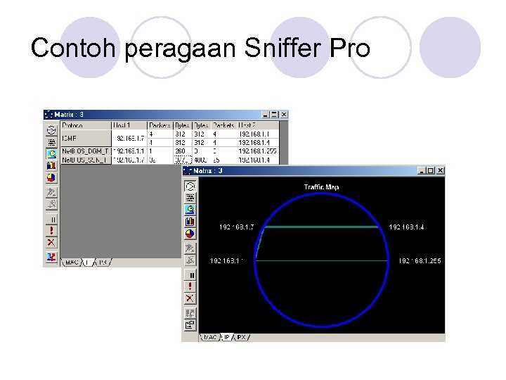 Contoh peragaan Sniffer Pro 