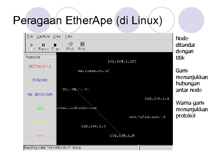 Peragaan Ether. Ape (di Linux) Node ditandai dengan titik Garis menunjukkan hubungan antar node