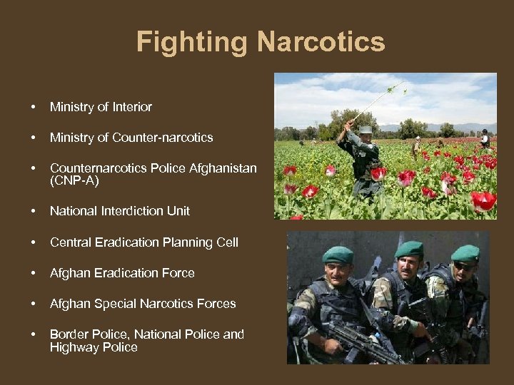 Fighting Narcotics • Ministry of Interior • Ministry of Counter-narcotics • Counternarcotics Police Afghanistan