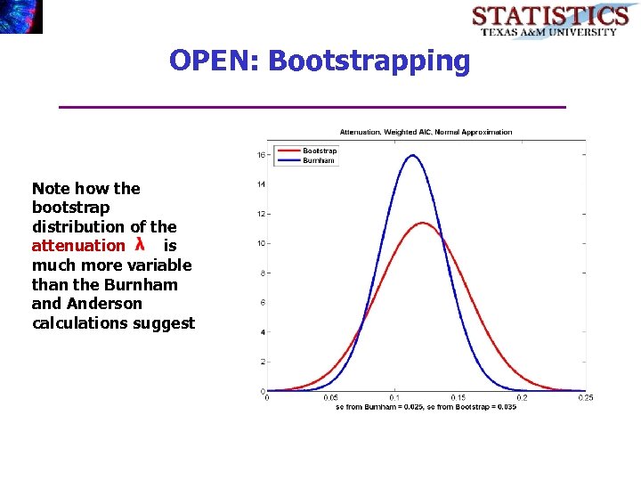 OPEN: Bootstrapping Note how the bootstrap distribution of the attenuation is much more variable