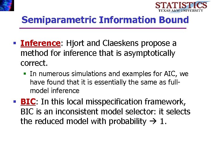 Semiparametric Information Bound § Inference: Hjort and Claeskens propose a method for inference that