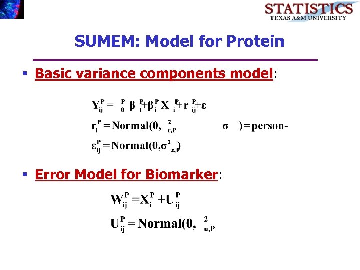 SUMEM: Model for Protein § Basic variance components model: § Error Model for Biomarker: