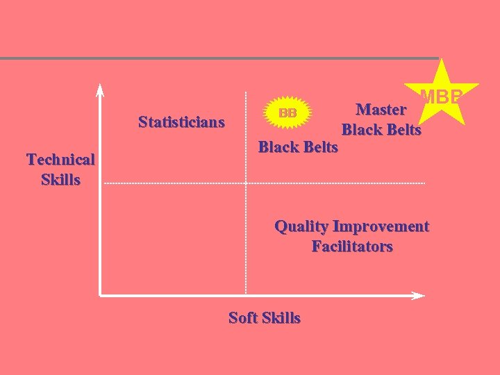 Statisticians Technical Skills BB Black Belts MBB Master Black Belts Quality Improvement Facilitators Soft