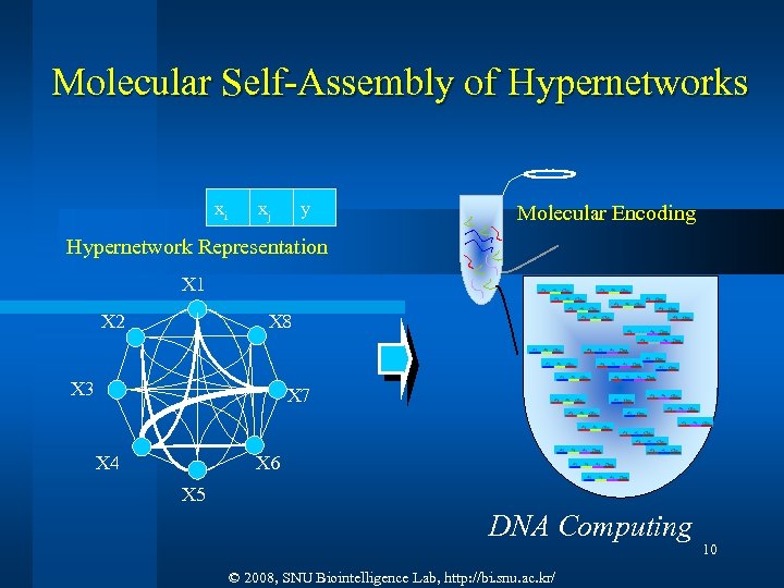 Molecular Self-Assembly of Hypernetworks xi xj y Molecular Encoding Hypernetwork Representation X 1 X