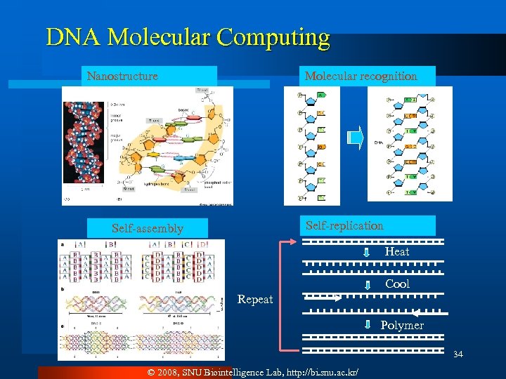 DNA Molecular Computing Nanostructure Molecular recognition Self-replication Self-assembly Heat Cool Repeat Polymer 34 ©
