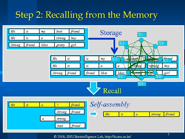 Step 2: Recalling from the Memory He is my best He is a strong