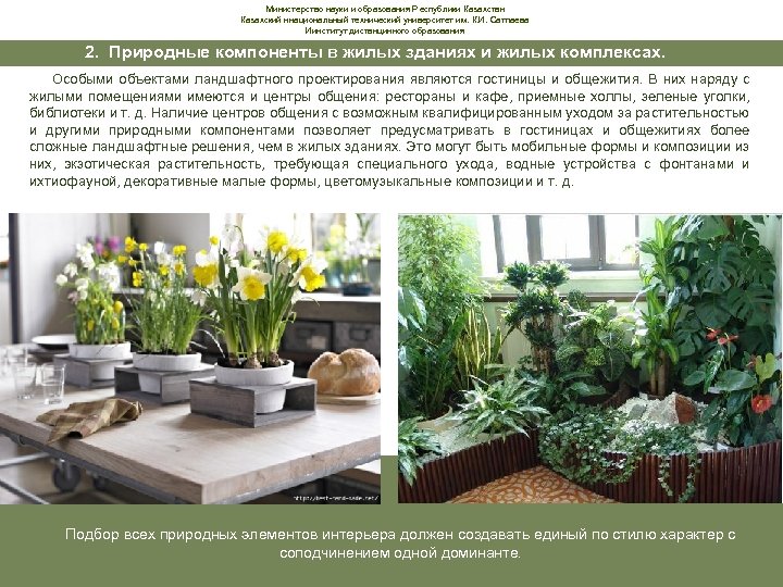 Министерство науки и образования Республики Казахстан Казахский ннациональный технический университет им. К. И. Сатпаева