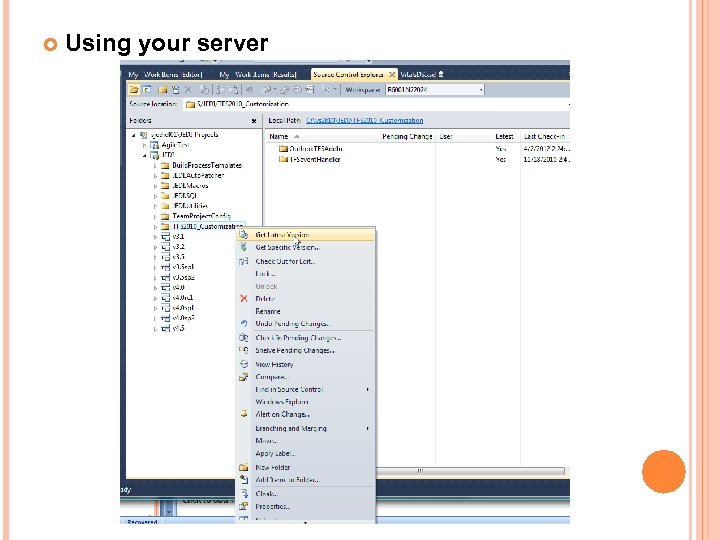  Using your server 