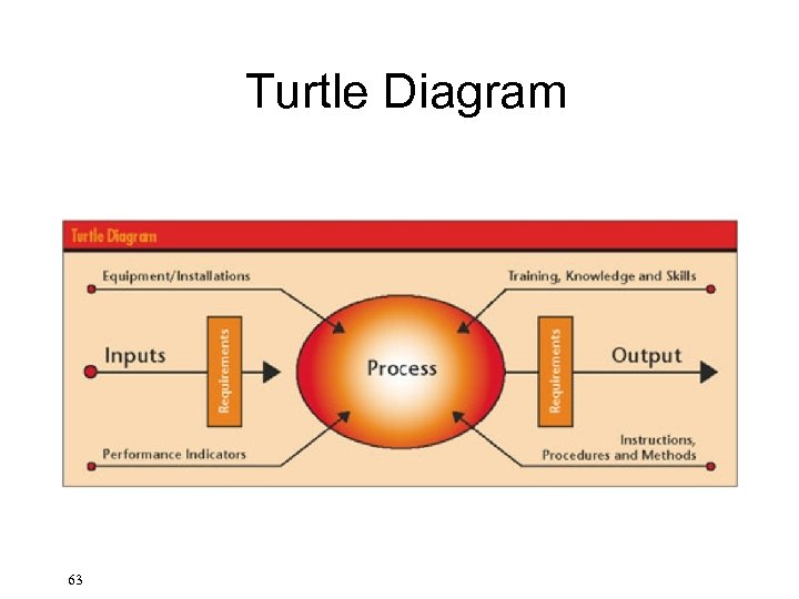 Turtle Diagram 63 
