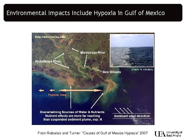 Environmental Impacts Include Hypoxia in Gulf of Mexico From Rabalais and Turner: “Causes of