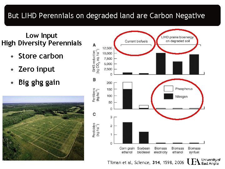 But LIHD Perennials on degraded land are Carbon Negative Low Input High Diversity Perennials