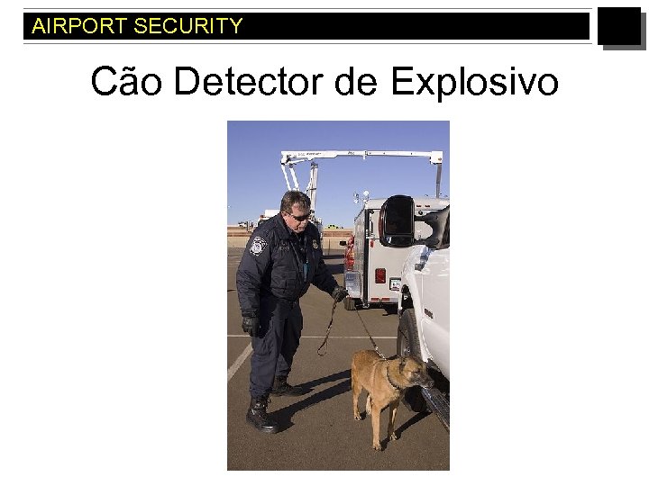 AIRPORT SECURITY Cão Detector de Explosivo 