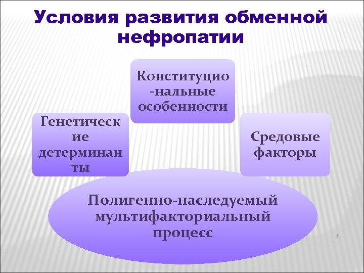 Условия развития обменной нефропатии Генетическ ие детерминан ты Конституцио -нальные особенности Средовые факторы Полигенно-наследуемый