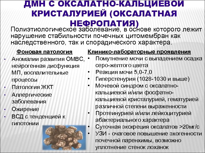 ДМН С ОКСАЛАТНО-КАЛЬЦИЕВОЙ КРИСТАЛУРИЕЙ (ОКСАЛАТНАЯ НЕФРОПАТИЯ) Полиэтиологическое заболевание, в основе которого лежит нарушение стабильности