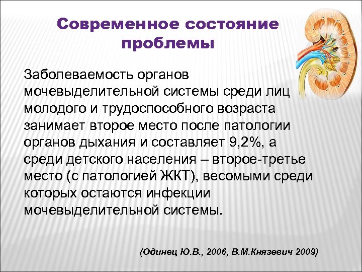 Современное состояние проблемы Заболеваемость органов мочевыделительной системы среди лиц молодого и трудоспособного возраста занимает