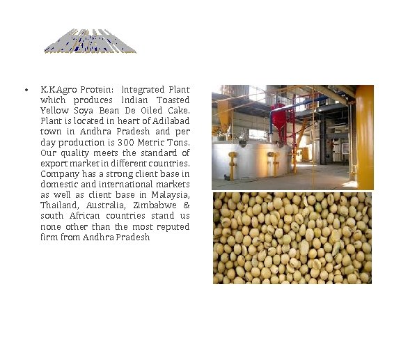  • K. K. Agro Protein: Integrated Plant which produces Indian Toasted Yellow Soya