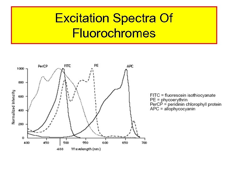 Excitation Spectra Of Fluorochromes 