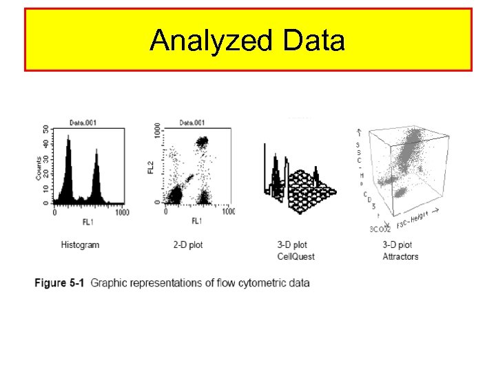 Analyzed Data 