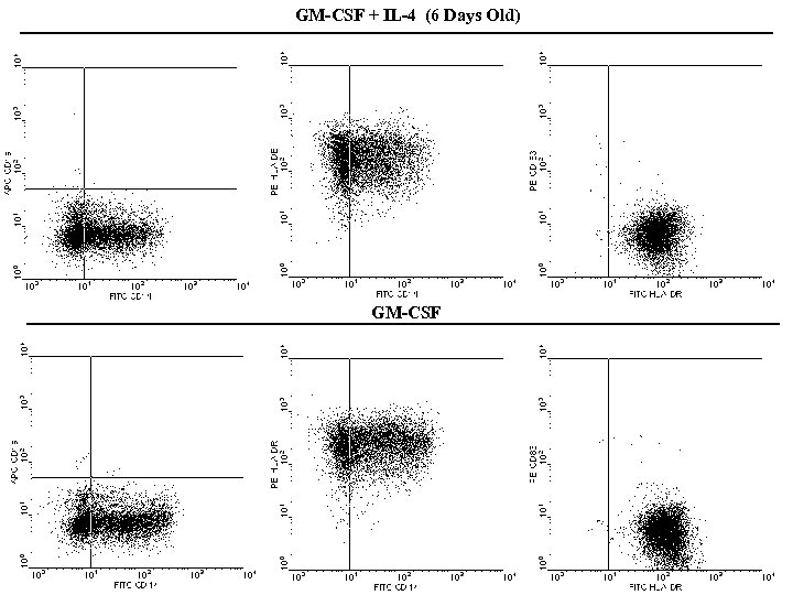 GM-CSF + IL-4 (6 Days Old) GM-CSF 