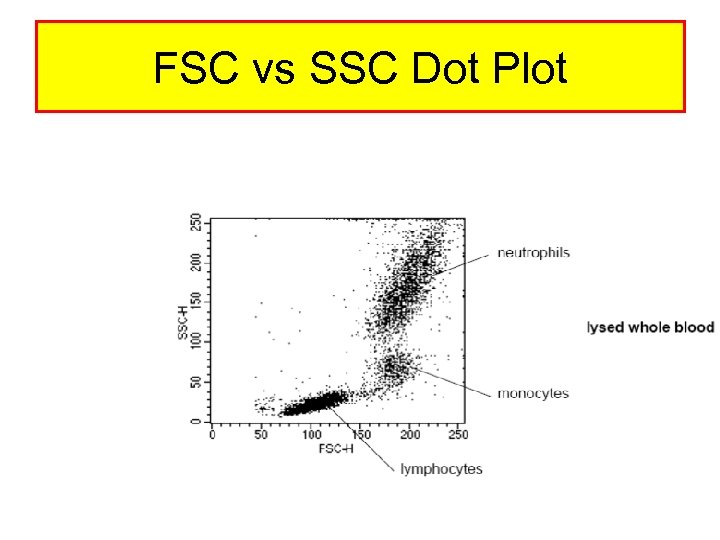 FSC vs SSC Dot Plot 
