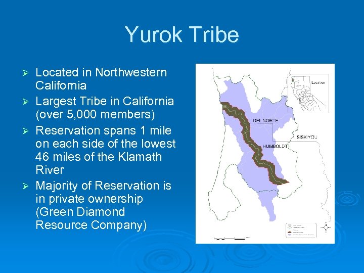 Yurok Tribe Ø Ø Located in Northwestern California Largest Tribe in California (over 5,