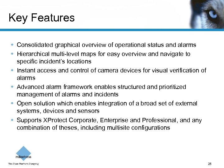 Key Features w Consolidated graphical overview of operational status and alarms w Hierarchical multi-level