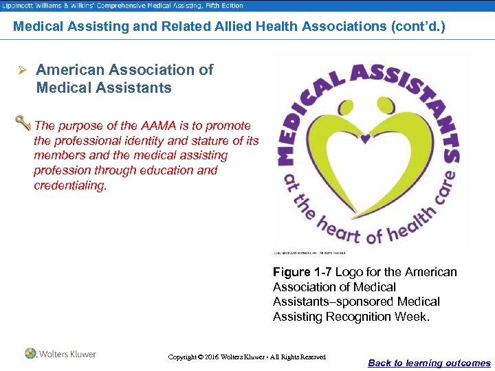 Medical Assisting and Related Allied Health Associations (cont’d. ) Ø American Association of Medical