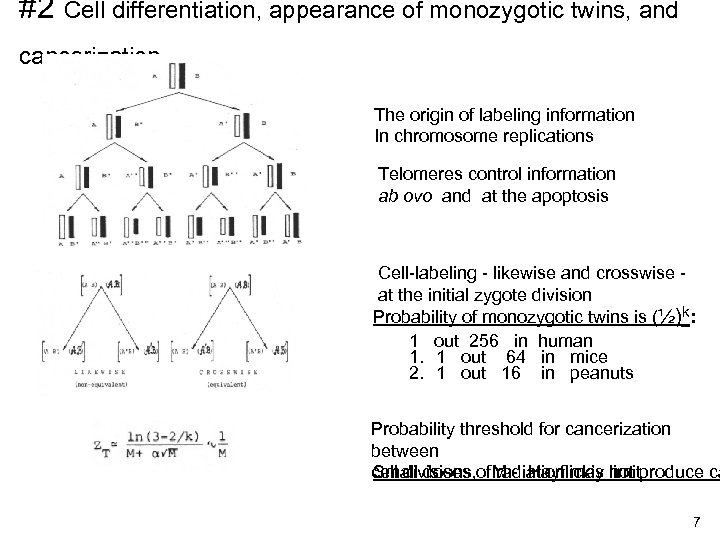 #2 Cell differentiation, appearance of monozygotic twins, and cancerization The origin of labeling information