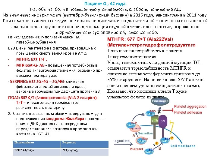 Пациент О. , 42 года. Жалобы на боли в повышенную утомляемость, слабость, понижение АД.