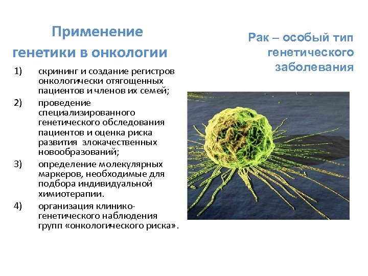  Применение генетики в онкологии 1) 2) 3) 4) скрининг и создание регистров онкологически